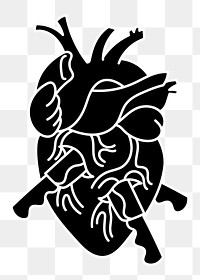 Sword through heart png illustration, transparent background