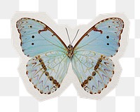 Blue butterfly  png insect sticker, paper cut on transparent background