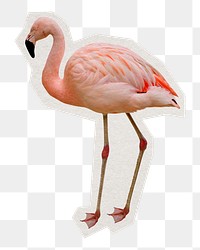 Flamingo png sticker, paper cut on transparent background