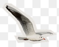 Flying seagull png sticker, paper cut on transparent background