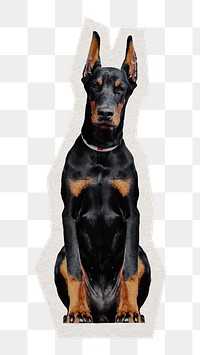 Doberman dog sitting png pet sticker, paper cut on transparent background