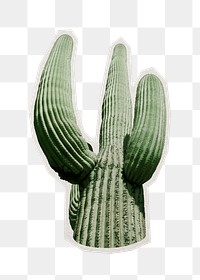 Saguaro cactus png sticker, paper cut on transparent background