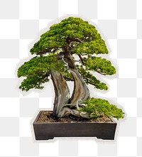 Japanese bonsai png tree sticker, paper cut on transparent background