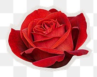 Red rose png sticker, paper cut on transparent background