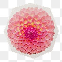 Pink dahlia flower png sticker, paper cut on transparent background