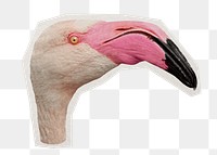 Flamingo head png bird sticker, paper cut on transparent background