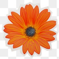 Orange daisy png sticker, paper cut on transparent background