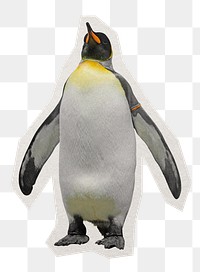 King penguin png sticker, paper cut on transparent background