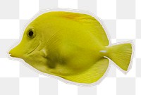 Yellow fish png sticker, paper cut on transparent background