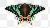 Vintage butterfly png sticker, paper cut on transparent background. E.A. Séguy's artwork. Remixed by rawpixel.