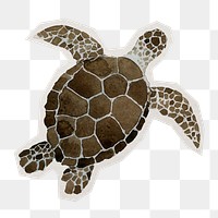 Watercolor png sea turtle sticker, paper cut on transparent background