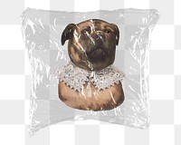 Bulldog png sticker, plastic wrap transparent background. Remixed by rawpixel.