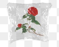 Rose png flower sticker, plastic wrap transparent background. Remixed by rawpixel.