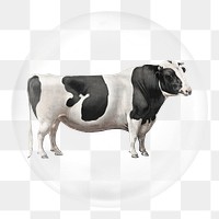 Cow png farm animal sticker, bubble design transparent background. Remixed by rawpixel.
