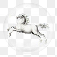 White horse png sticker, bubble design transparent background. Remixed by rawpixel.