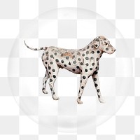 Dalmatian dog png sticker, bubble design transparent background. Remixed by rawpixel.