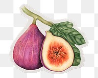 Fig png fruit sticker, paper cut on transparent background