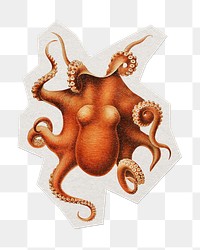 Vintage octopus png sticker, paper cut on transparent background