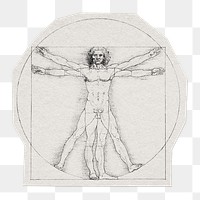 Vitruvian man png sticker, illustration by Leonardo da Vinci on transparent background, remixed by rawpixel.