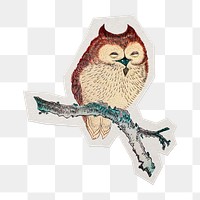 Owl on branch png sticker, transparent background, remixed by rawpixel.