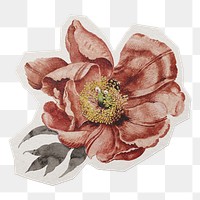 Vintage flower png sticker, paper cut on transparent background