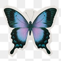 Ulysses butterfly png sticker, paper cut on transparent background