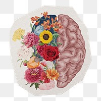 Beautiful mind png sticker, paper cut on transparent background