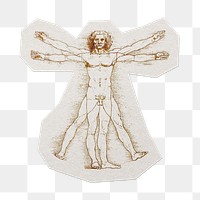 Leonardo da Vinci's png Vitruvian Man sticker, transparent background, remixed by rawpixel.