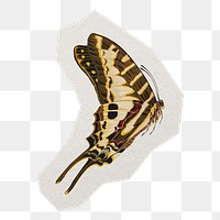 Yellow butterfly png insect sticker, paper cut on transparent background