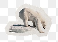 Polar bear png sticker, paper cut on transparent background