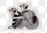 Lemur  png sticker, paper cut on transparent background