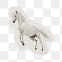 White horse png sticker, paper cut on transparent background