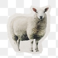 Sheep  png farm sticker, paper cut on transparent background