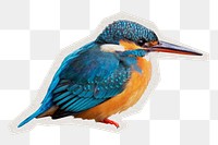 Common kingfisher png sticker, paper cut on transparent background