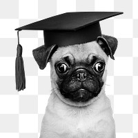 Puppy graduation png b&w element, transparent background