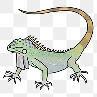 Eguana png illustration, transparent background. Free public domain CC0 image.