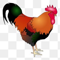 Rooster png illustration, transparent background. Free public domain CC0 image.