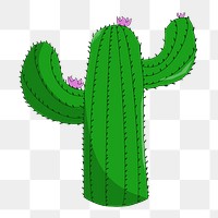 Cactus png illustration, transparent background. Free public domain CC0 image.