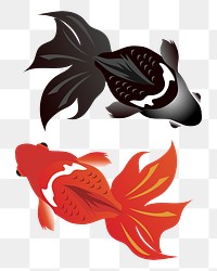 Black moor and gold fish png illustration, transparent background. Free public domain CC0 image.