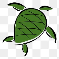 Turtle  png clipart illustration, transparent background. Free public domain CC0 image.