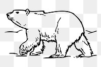 Polar bear png sticker, transparent background. Free public domain CC0 image.