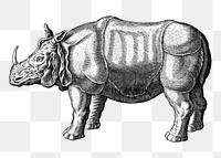 Rhinoceros  png clipart illustration, transparent background. Free public domain CC0 image.