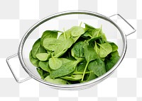 PNG Fresh spinach leaves, collage element, transparent background