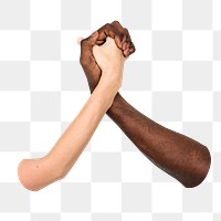 Diverse hands united png, transparent background