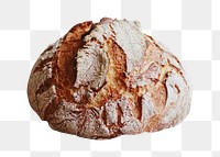 Sourdough bread png sticker, transparent background