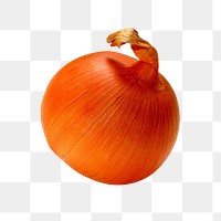 Onion vegetable png, transparent background