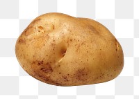 Organic potato vegetable png, transparent background