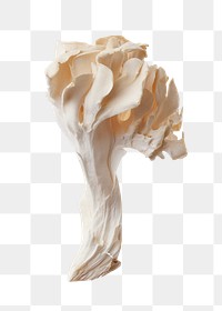 Mushroom png, transparent background