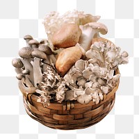 Assorted mushrooms png sticker, transparent background