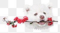 Png cute dog holding flower sticker, animal transparent background